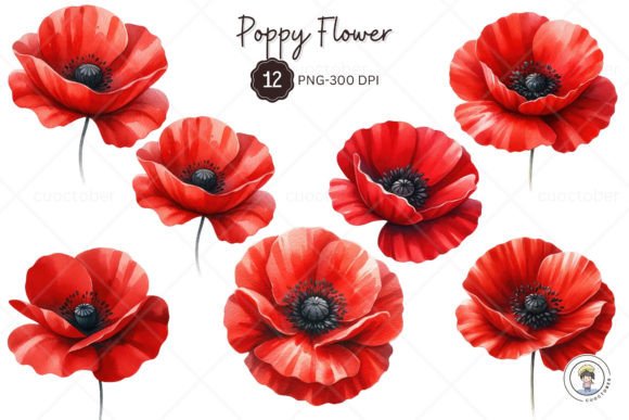 Download Watercolor Red Poppy Flower Clipart - Flower clipart Collection