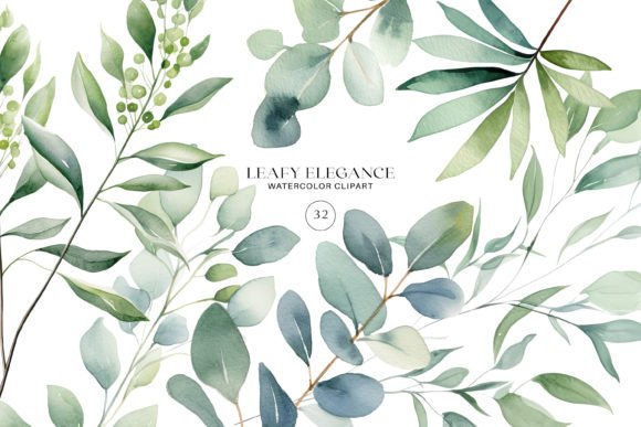Download Watercolor Eucalyptus Leaf Clipart Set - Leaf Collection