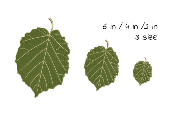 Download Green Birch Leaf - Leaf Collection