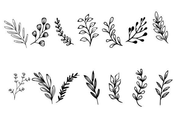Download Botanical Leaf Wildflower Line Art - Leaf Collection