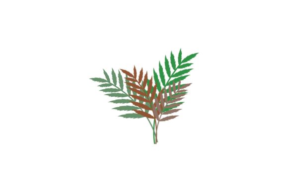 Download Beauty Floral Decorations - Floral decorations Collection