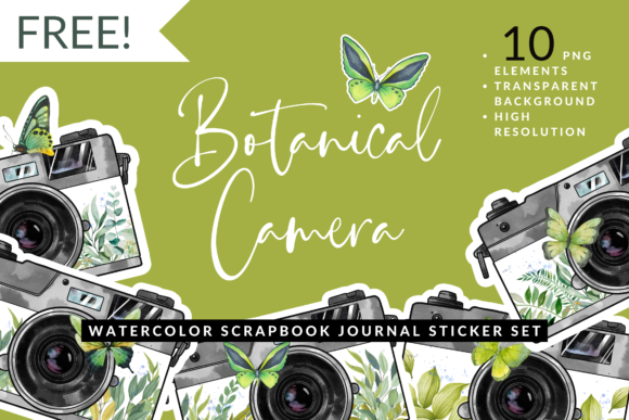 Download Watercolor Leaf Butterfly Camera Sticker - Leaf Collection