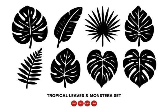 Download Tropical Leaves and Monstera Leaf Vecto - Leaf Collection